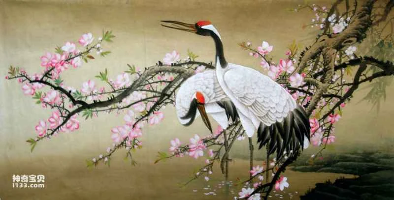 What is a white crane? (Detailed introduction)
