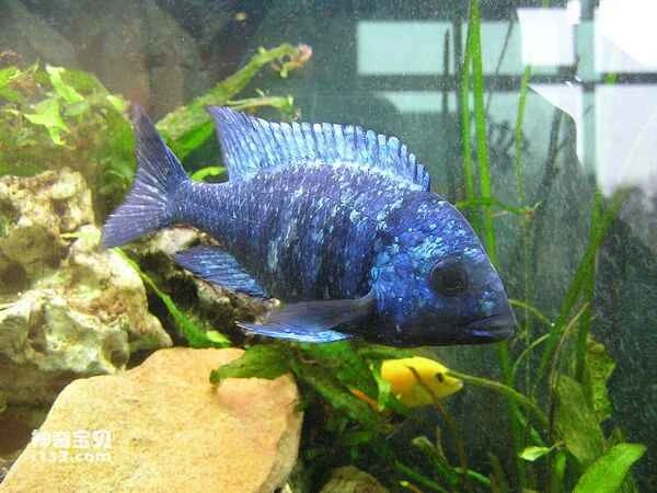 2024072612728686.jpg 8.jpg