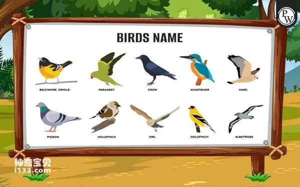 What are the names of all kinds of birds? (Detailed introduction)