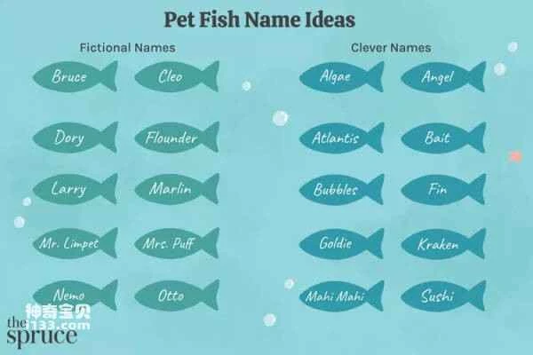 200+ great names for your pet fish (every fish should have a name that suits its personality)