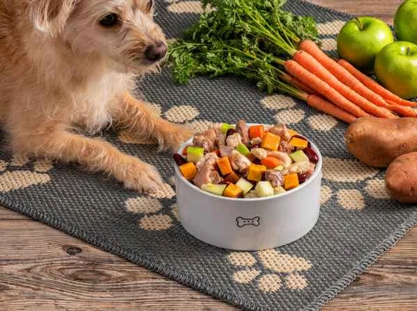 How to choose the right dog food