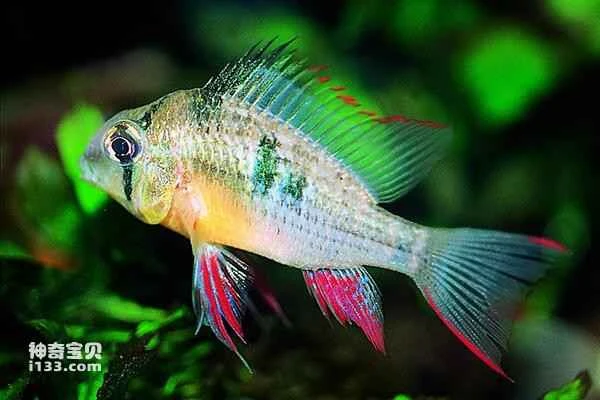 2024072613183430.jpg 10.jpg