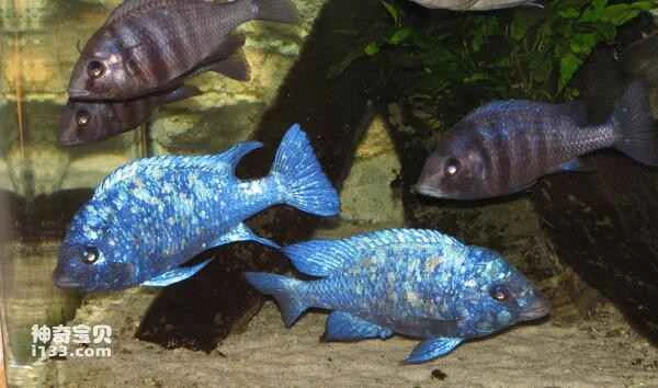 2024072620072486.jpg 88.jpg