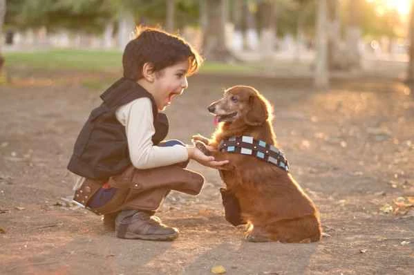Five tips for dogs and children: building a safe and enjoyable relationship.