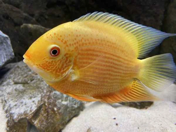 2024072685129232.jpeg 7.jpeg